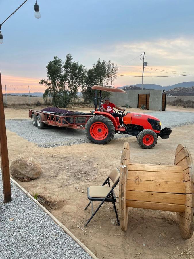 Finca Cazosa Valle de Guadalupe Exteriér fotografie