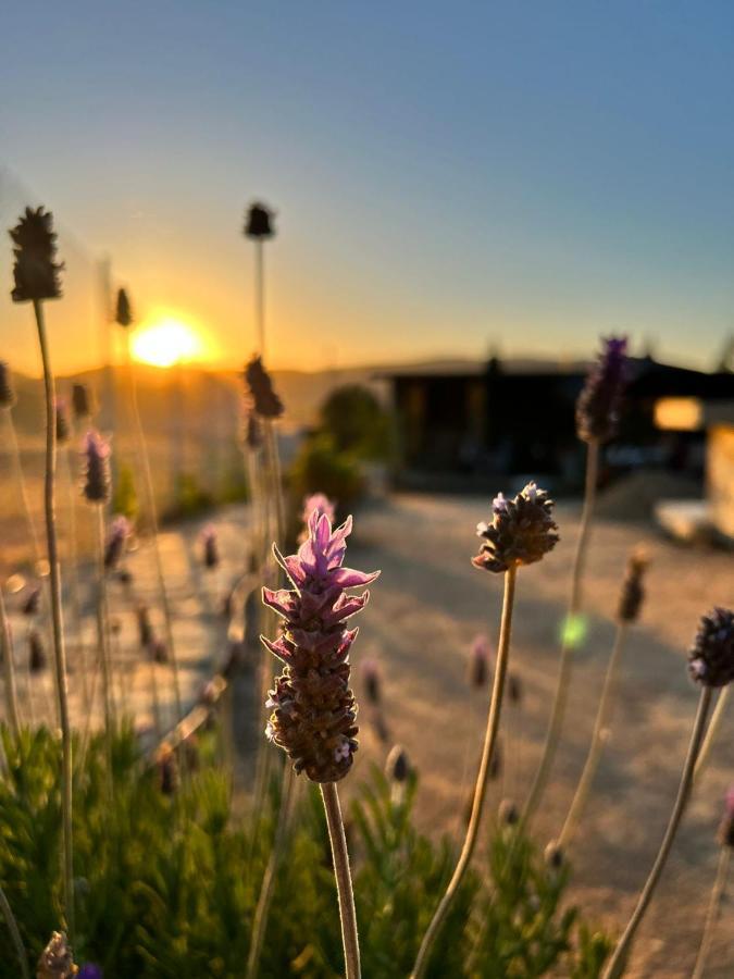 Finca Cazosa Valle de Guadalupe Exteriér fotografie