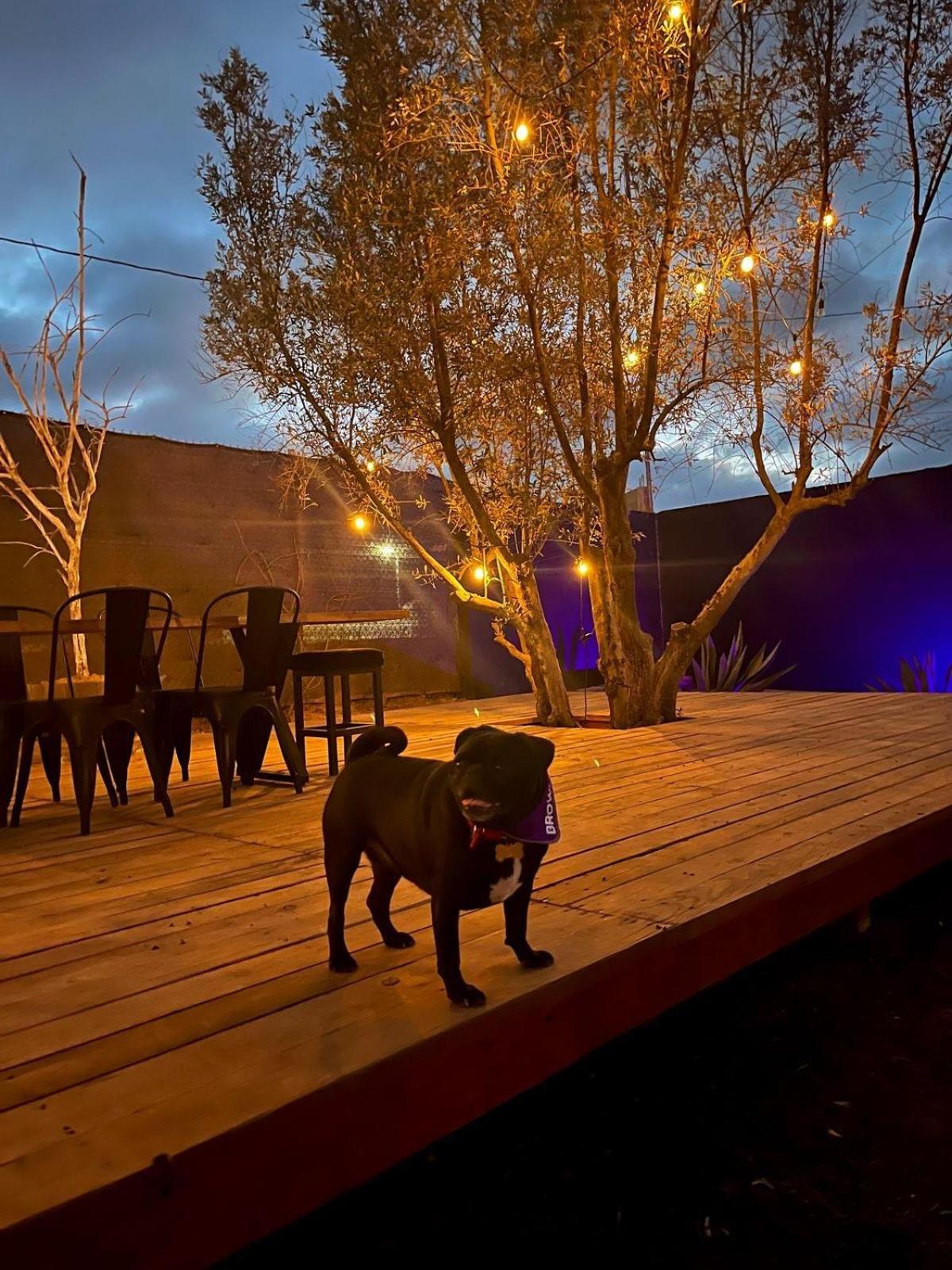 Finca Cazosa Valle de Guadalupe Exteriér fotografie